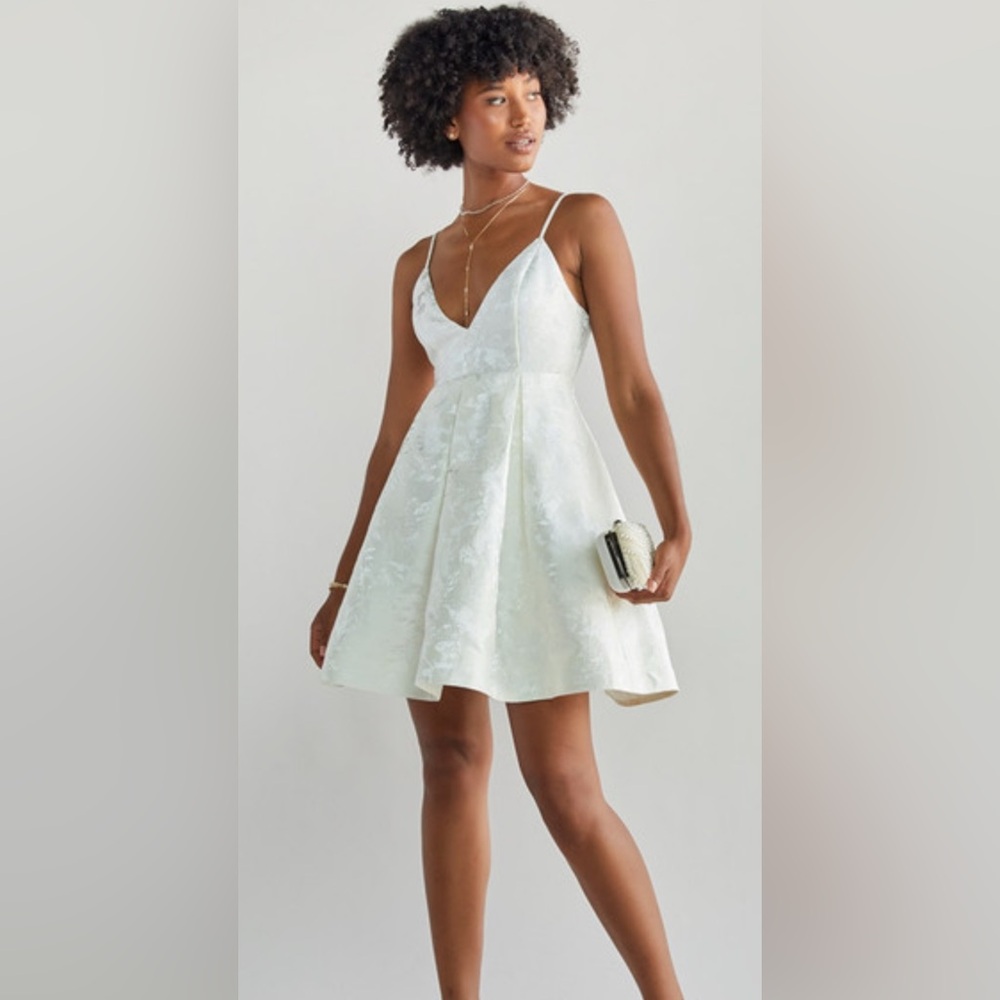Francesca's Collections White Floral Jacquard Mini Dress